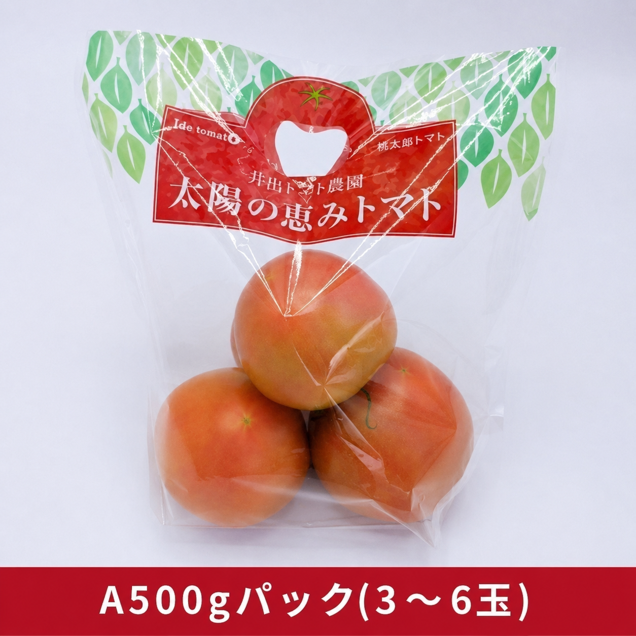 大玉A級 500g 青目をリクエスト［1袋／10袋箱］(500g×10袋)